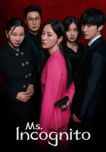 Госпожа Инкогнито, Сезон 1